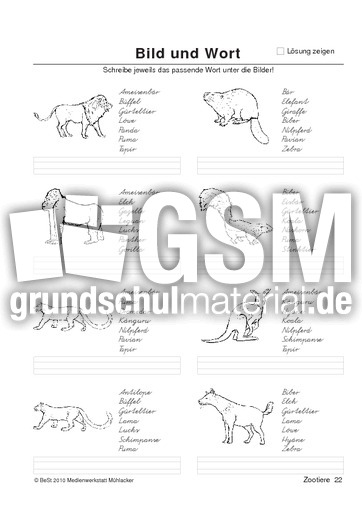 BuW Zootiere22.pdf